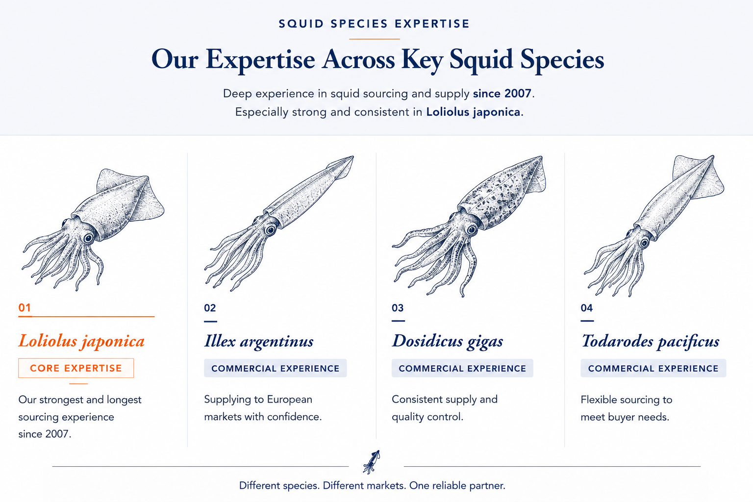 Squid species expertise