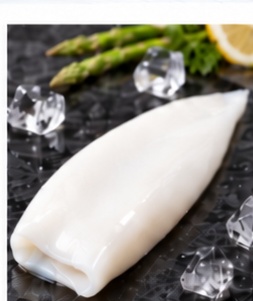 Squid tubes